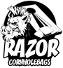 Razor Cornhole Bags